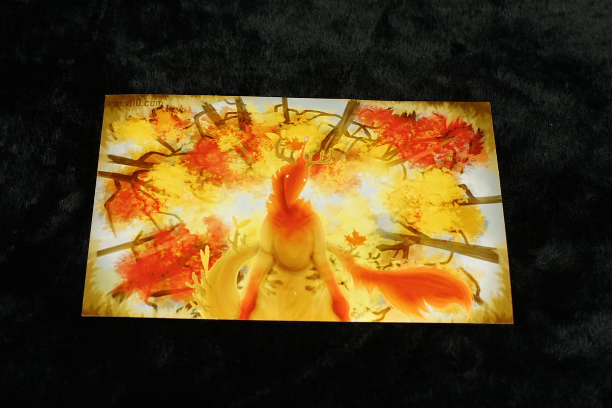 Mini prints [4x6]